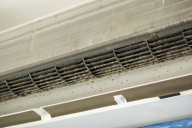 Best Home Air Vent Cleaning  in Keystone Heights, FL